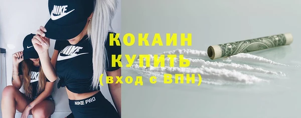 сатива Зеленокумск