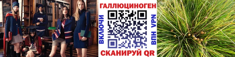 цены   Балей  Псилоцибиновые грибы Magic Shrooms 